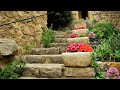 🌺Прекрасные Идеи для Красивого Сада / Amazing ideas for a beautiful garden / A - Video