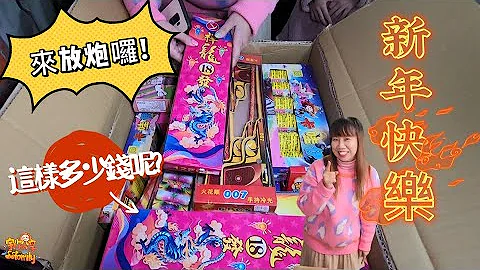 【日常】新年快乐兔YOU 过年放鞭炮 这样多少钱呢？！ 开心放烟火 高空 手持 盒装烟火 通通都要玩个够!  | 宇你分享 SS family - 天天要闻