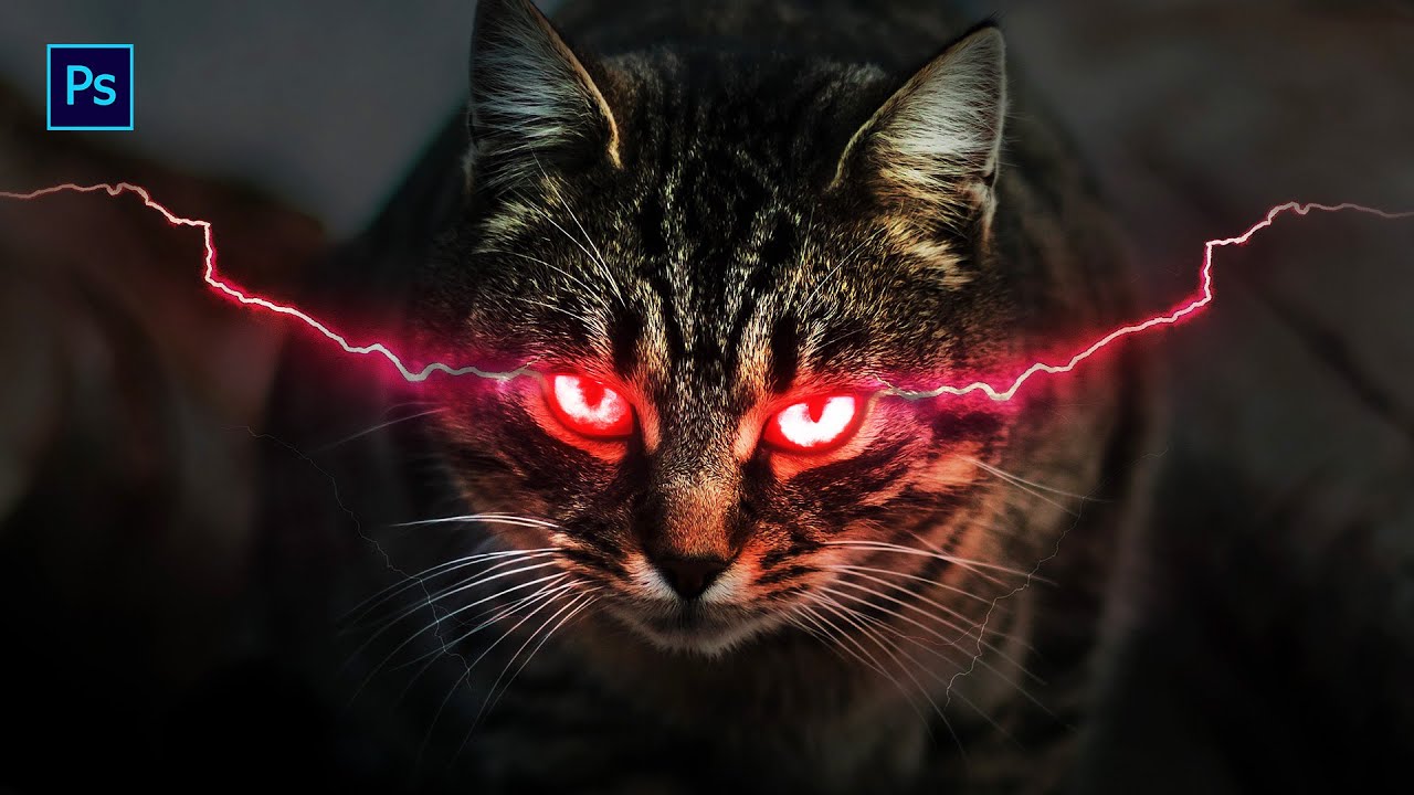 Glowing Eyes Cat Glowing Effect Photoshop Tutorials Youtube