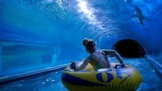 Scary shark water park slide at aquapark reda in reda, poland. website
► https://www.amusementforce.com facebook
https://www.facebook.com/amusementforce in...