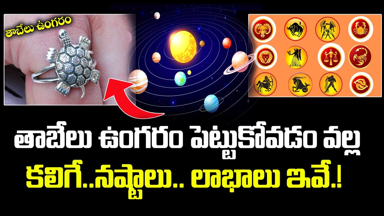 wear tortoise ring for this finger you become rich very soon | Tortoise  Ring Benefits: తాబేలు ఉంగరం ఈ వేలికి పెట్టుకుంటే ఎవ్వరైనా ధనవంతులవుతారట..  News in Telugu