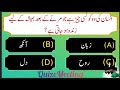 Most viral Islamic paheliyan in Urdu and Hindi | dilchasp knowledge | General knowledge