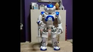 AI Nao Robot ChatGPT Persona Interaction Test by RoboMatt 328 views 10 months ago 1 minute, 13 seconds