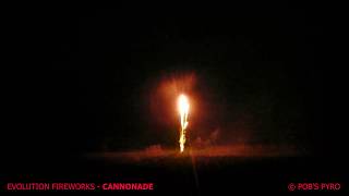Evolution Fireworks Cannonade 30 Shot Cake