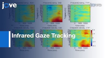 Computer Game-Based Behavioural Experiments-High-Density EEG l Protocol Preview