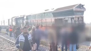 At Least Seven Elephants Killed In Train Crash In Northeast India