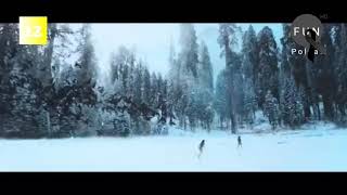 Polsat Fun Hd - O Michael Tv Polska Hd 14.12.2018