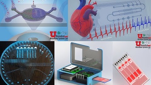 Biomedical Micro/Nano lab microvalve array with Logo
