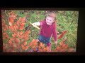 CBeebies Sesame Tree Intro 2008 