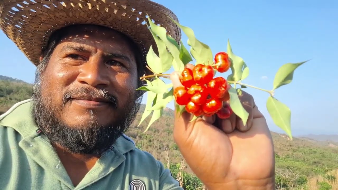 Seguro que no sabias que esta maravilla existe 🍒