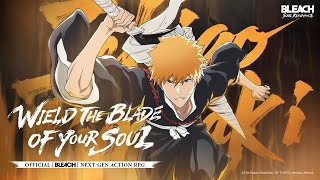 Bleach Soul Resonance Sr Ichigo Kurosaki Pv
