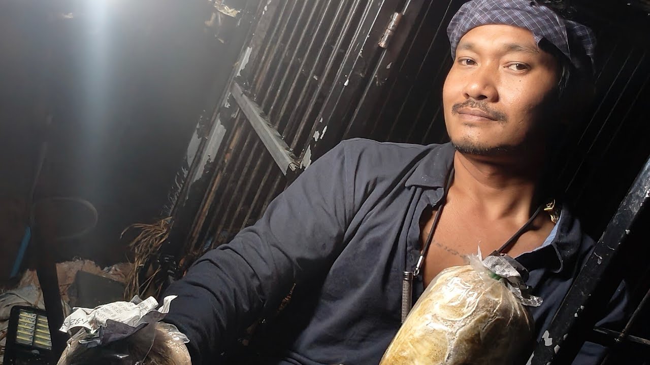 เพาะเห็ดนางฟ้า.ยามค่ำคืนผลผลิตดีจริงไหม#อ้ายสิงห์เสียเส้น กำลังถ่ายทอดสด!