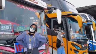 Story wa bus Pariwisata study tour||Terbaru