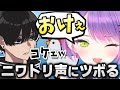 【切り抜き／常闇トワ】ドリームマッチ最終試合でのトワ様とリッキーの絡みが面白過ぎたｗ【APEX／#DREAMMATCH／Ras／Crylix】