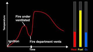 0110 008 Fire Growth Chart A2