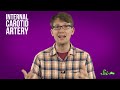 What Causes Brain Freeze?
