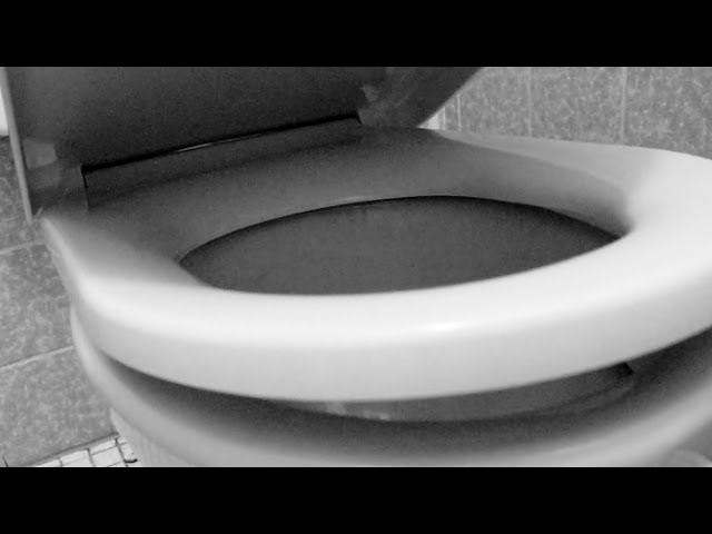 WC Sitz wechseln (Klobrille) - ganz einfach mit Papa:)E - YouTube