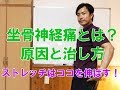 坐骨神経痛とは？原因と解消法、ストレッチのコツ！