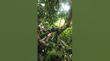 Target Sembunyi Di Balik Daun #berburu #nembak #hunting