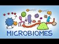 The HIDDEN World of Microbiomes