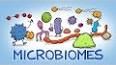 The Hidden World of Microbes and Their Role in Our Health ile ilgili video