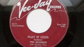 Play It Cool  -  Spaniels