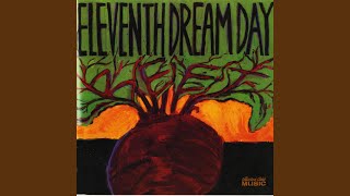 Vignette de la vidéo "Eleventh Dream Day - Testify"