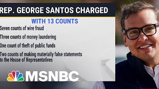 Breaking down the federal charges in George Santos indictment