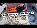 My summer deckhanding in Homer AK. Ep. 4