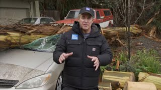 Heavy Winds Coming Up Hillsides in Santa Cruz Cause Down Trees and Power Outages