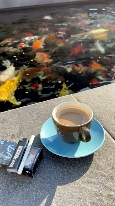 Menikmati kopi ditemani ikan koi