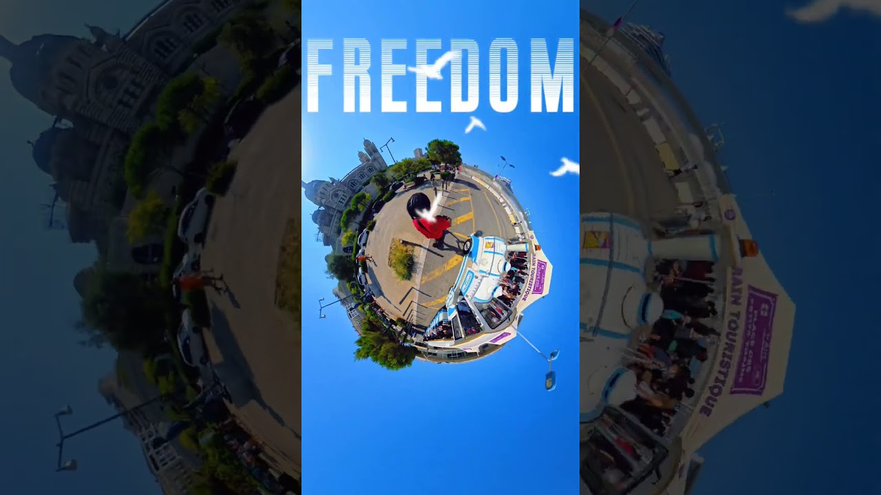 Freedom🙂‍↕️