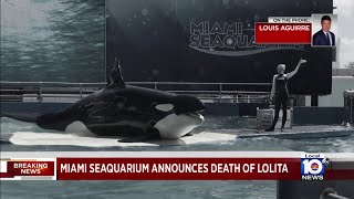 Local 10's Louis Aguirre reflects on death of Lolita