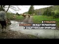 Медведь Артур, принц и румынские фермеры