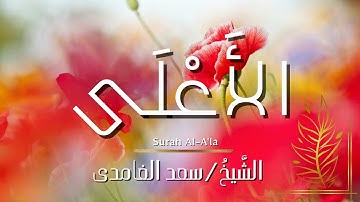 سورة الأعلى / المصحف المرتل / الشيخ سعد الغامدي / Surah Al-A'la / Sheikh Saad Al-Ghamdi