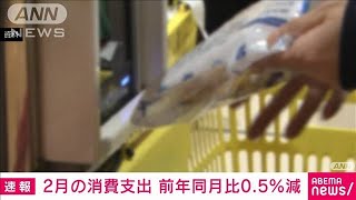 2月の家計調査　消費支出は前年同月比で実質0.5％減　減少は12カ月連続(2024年4月5日)