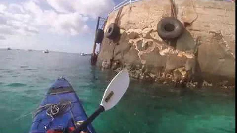 ¿Cuáles son las aguas más infestadas de tiburones?