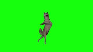 Fox Dancing Meme | Green Screen