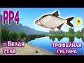 ТРОФЕЙНАЯ ГУСТЕРА НА БЕЛОЙ РР4 / РУССКАЯ РЫБАЛКА 4 БЕЛАЯ ТРОФЕЙНАЯ ГУСТЕРА / RF4 BELAYA RIVER