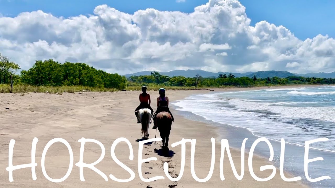 Horse Jungle || beach, jungle, river crossings… and a horse who wasn’t feeling it that day!