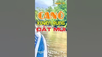 Đi Ca nô Xuyên Rừng Đước Đất Mũi | Áo Mới Cà Mau #runguminh #camau