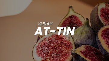 Surah At-Tin | Sheikh Essam Hamud | للقارئ عصام حمود |تلاوة سورة التين