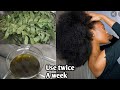 Use this Neem oil twice a week and your Hair will grow double/African hair growth secret