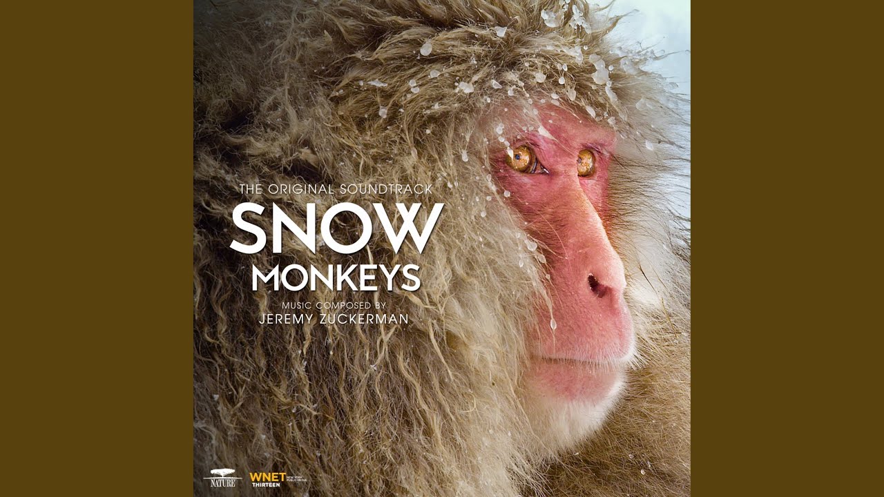 Under a Blanket of Snow