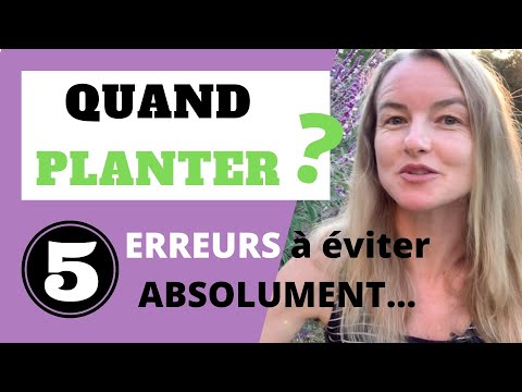 Vidéo: Planter Des Jacinthes à L'automne : Quand Planter ? Quelle Est La Bonne Manière Et à Quelle Profondeur Planter Dans Le Sol ?