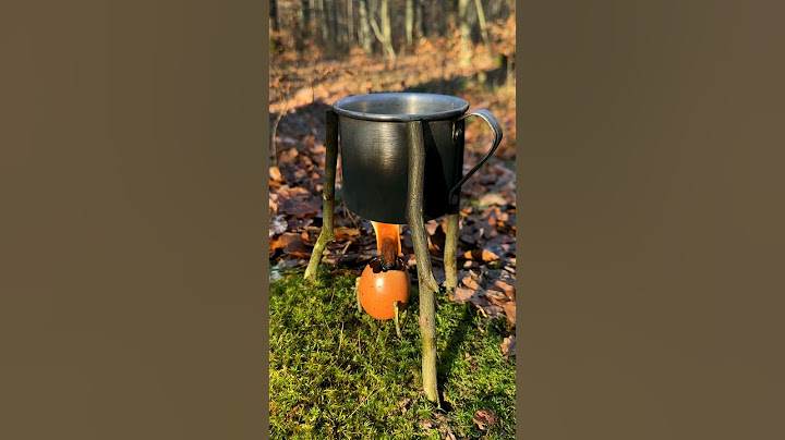 Survival Skills Lifehacks: Cooking Wild Eggs. #survival #camping #lifehacks #skills