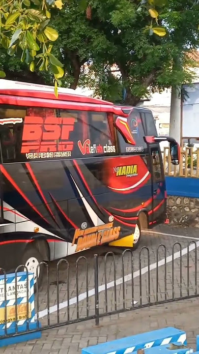 bus nadia parkir di wbl #bus #buspariwisata #busindo #parkiran