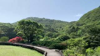 2025.04.14大屯自然公園