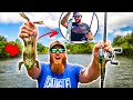Topwater Fishing for GIANT Bullfrogs ft. FLAIR (Catch-Clean-Cook)