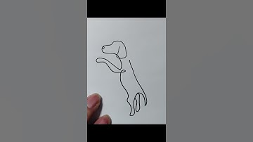 #Onelinedrawing One line drawing a dog